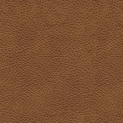 Carianna Loveseat - US Furniture & Mattress (Waterbury,CT)*