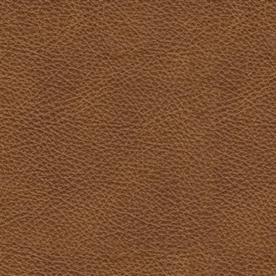 Carianna Sofa - US Furniture & Mattress (Waterbury,CT)*