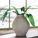 Hannela Vase - US Furniture & Mattress (Waterbury,CT)*