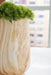 Cammen Vase - US Furniture & Mattress (Waterbury,CT)*