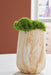Cammen Vase - US Furniture & Mattress (Waterbury,CT)*