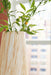 Cammen Vase - US Furniture & Mattress (Waterbury,CT)*