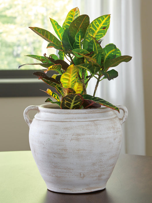 Meadie Vase - US Furniture & Mattress (Waterbury,CT)*