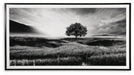 Deborland Wall Art - US Furniture & Mattress (Waterbury,CT)*