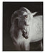 Archerwick Wall Art - US Furniture & Mattress (Waterbury,CT)*