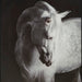 Archerwick Wall Art - US Furniture & Mattress (Waterbury,CT)*