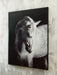 Archerwick Wall Art - US Furniture & Mattress (Waterbury,CT)*