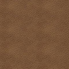 Bolsena Sofa Sleeper - US Furniture & Mattress (Waterbury,CT)*