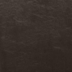 Kimonte Dining Chair Set - US Furniture & Mattress (Waterbury,CT)*