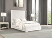 Cadwell E.King, Queen, & Full Bed White, Gray, & Black - US Furniture & Mattress (Waterbury,CT)*