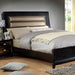 Golva Bed Beige & Black - US Furniture & Mattress (Waterbury,CT)*