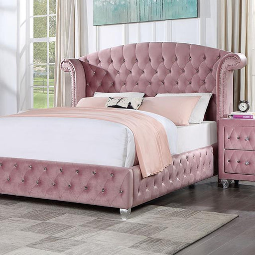 Zohar Queen & Twin Bed Black, Grey, & Pink - US Furniture & Mattress (Waterbury,CT)*