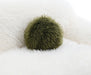 Darwen Sofa - US Furniture & Mattress (Waterbury,CT)*