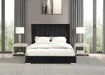 Cadwell E.King, Queen, & Full Bed White, Gray, & Black - US Furniture & Mattress (Waterbury,CT)*