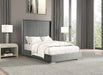 Cadwell E.King, Queen, & Full Bed White, Gray, & Black - US Furniture & Mattress (Waterbury,CT)*